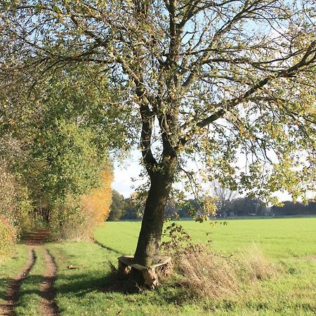 Ferienwohnung Bei Bunsel'S Versmold Exteriér fotografie