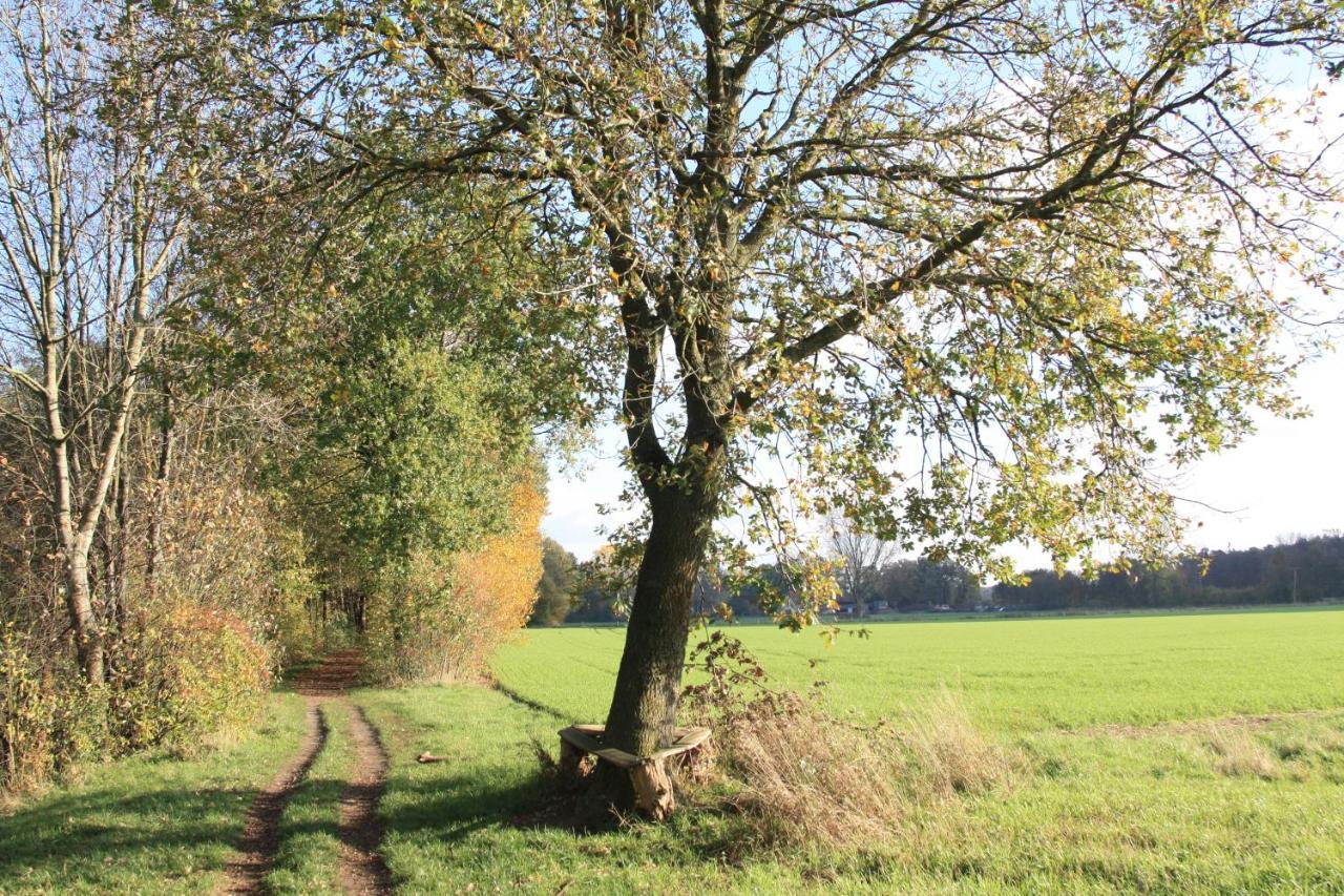 Ferienwohnung Bei Bunsel'S Versmold Exteriér fotografie